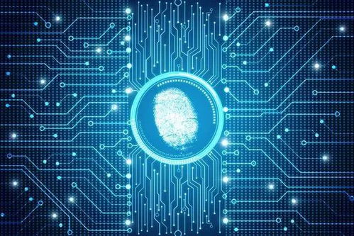 揭秘！關(guān)于人體的5個(gè)常見偽科學(xué)事實(shí)